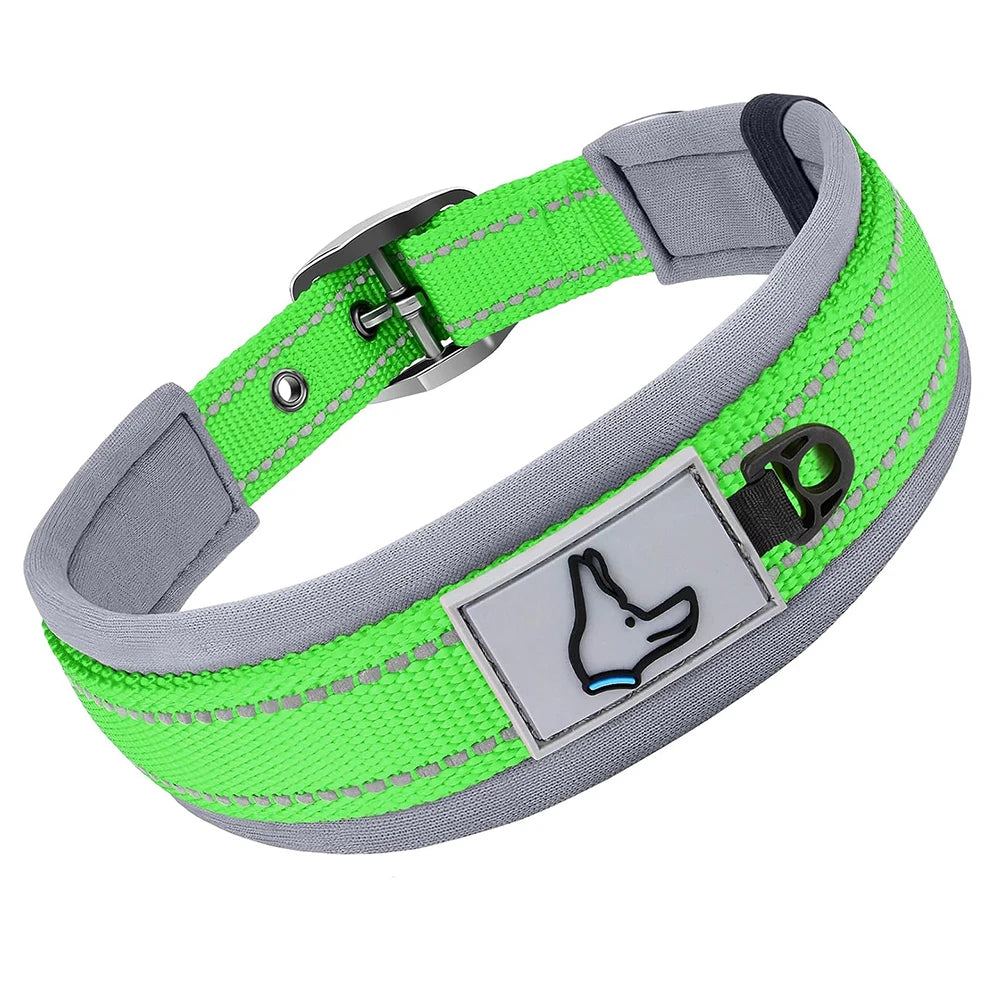Padded Dog Collar