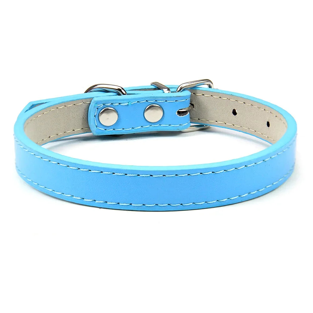 Sleek Leather Dog Collar