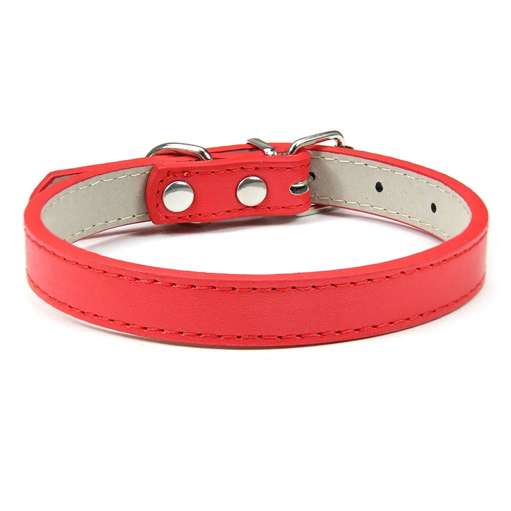 Sleek Leather Dog Collar