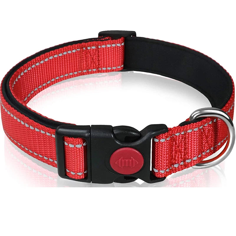 Reflective Nylon Dog Collar