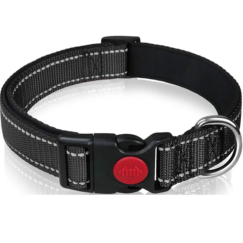 Reflective Nylon Dog Collar
