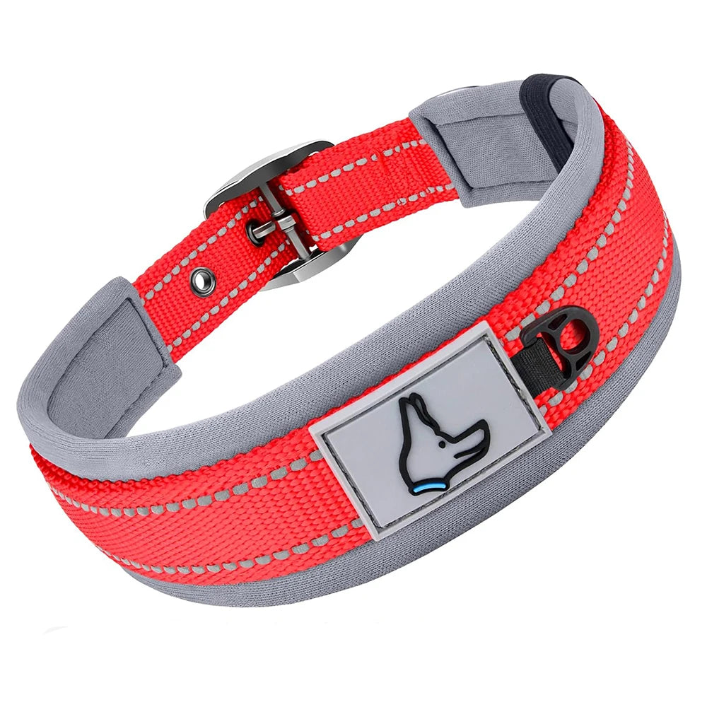 Padded Dog Collar