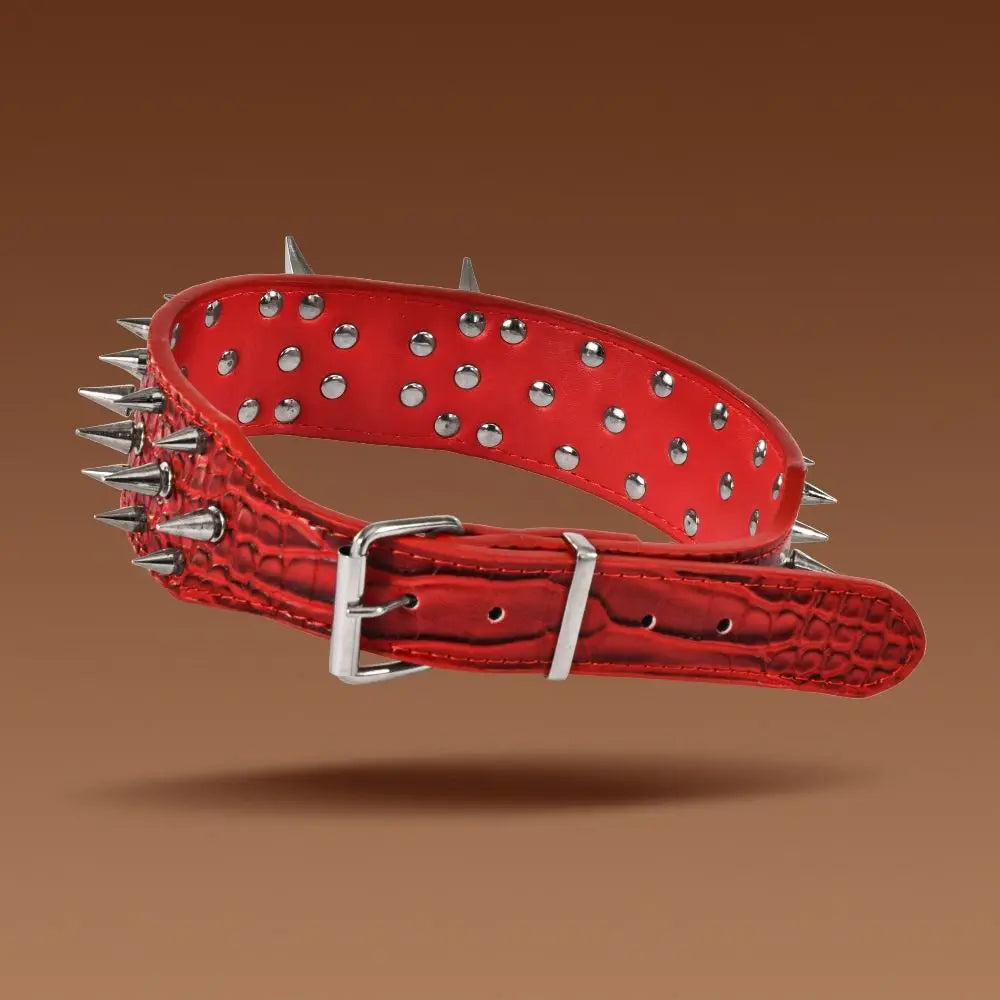 Larger Dog Spike Collar