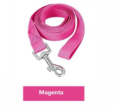 Dog Training Leash