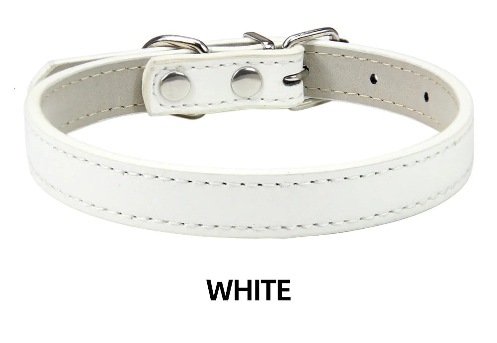 Sleek Leather Dog Collar