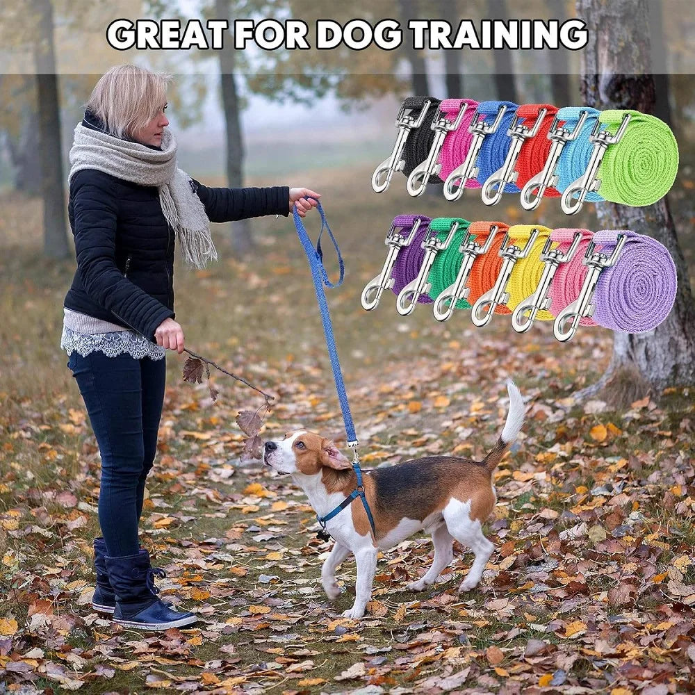 Dog Training Leash