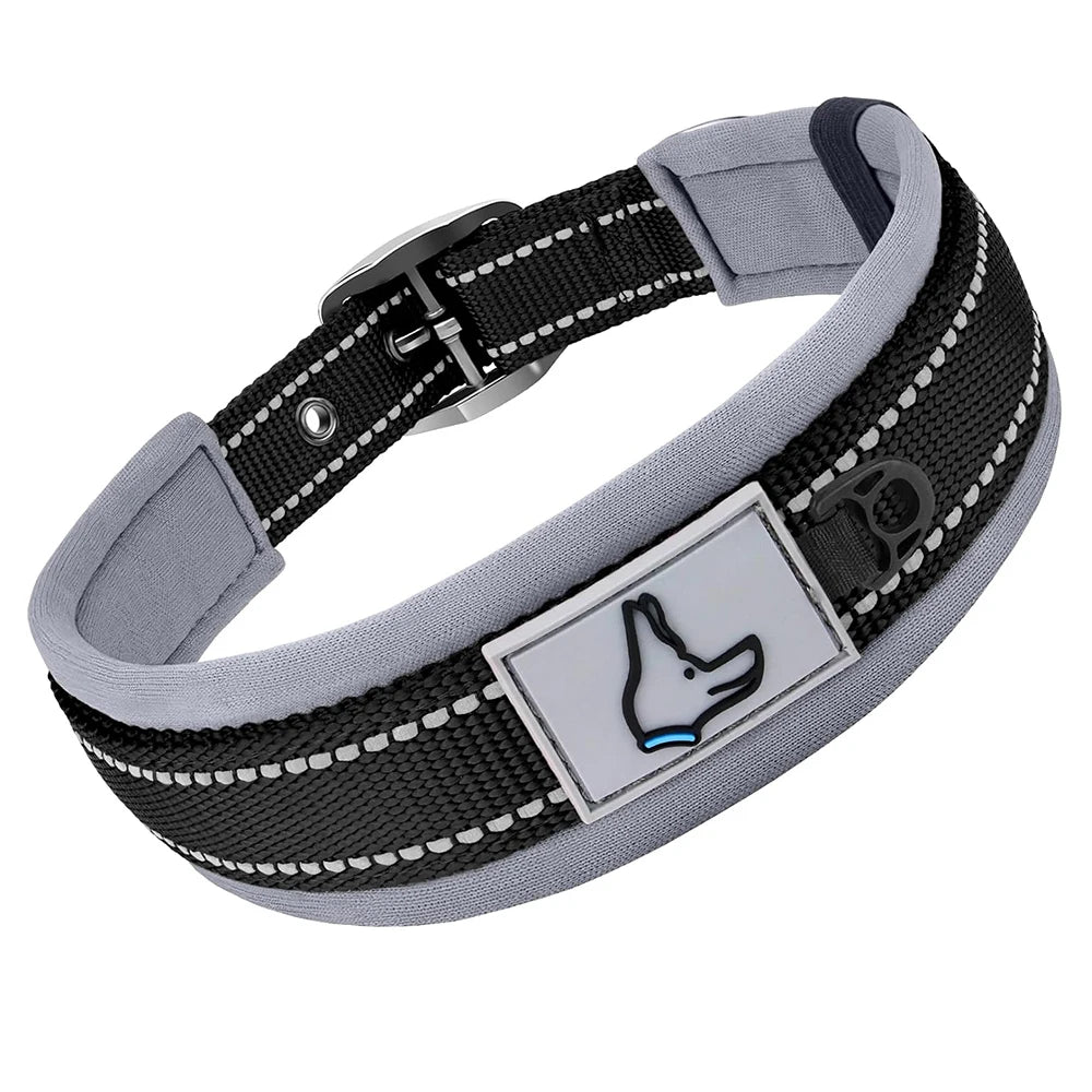 Padded Dog Collar