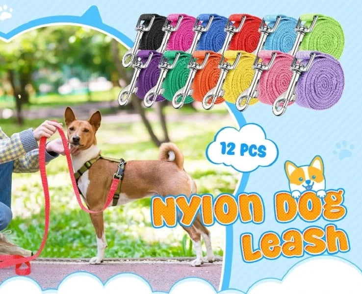 Dog Training Leash