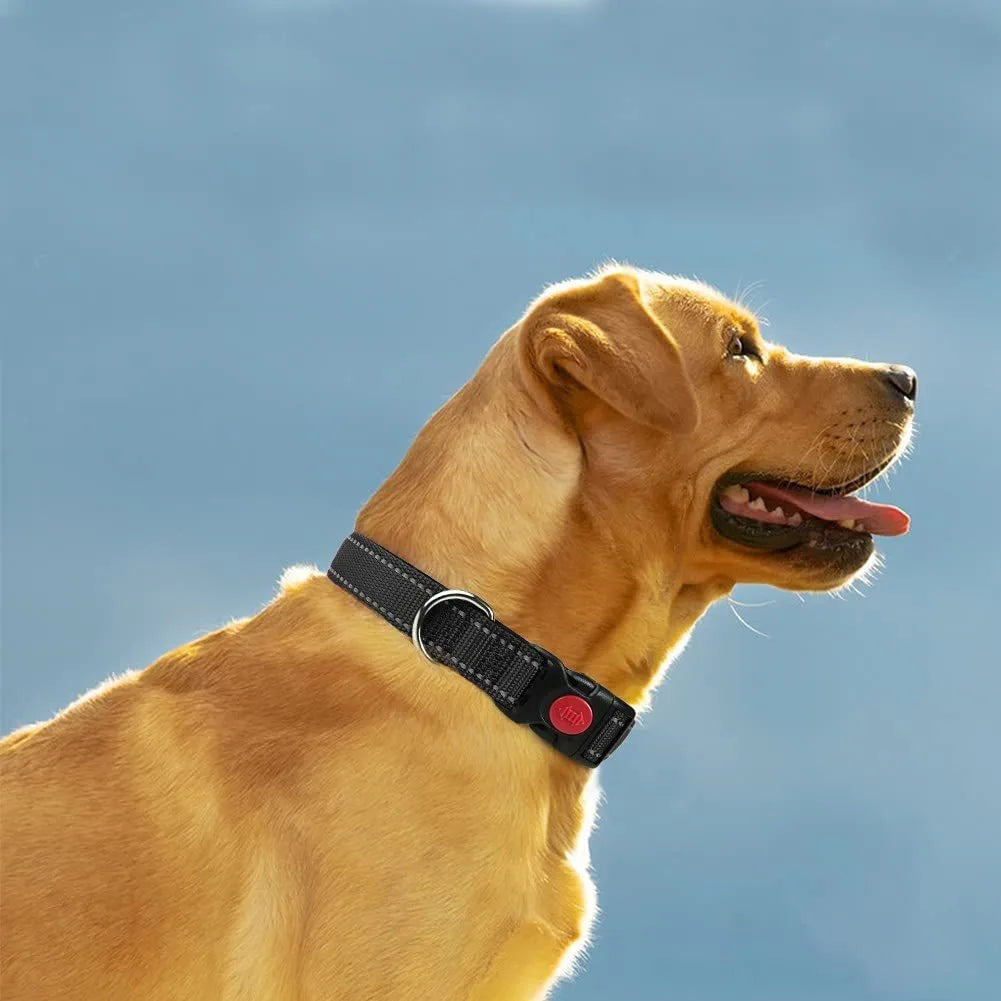 Reflective Nylon Dog Collar