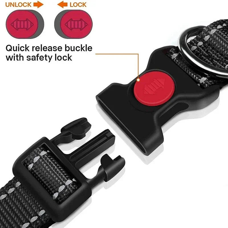 Reflective Nylon Dog Collar