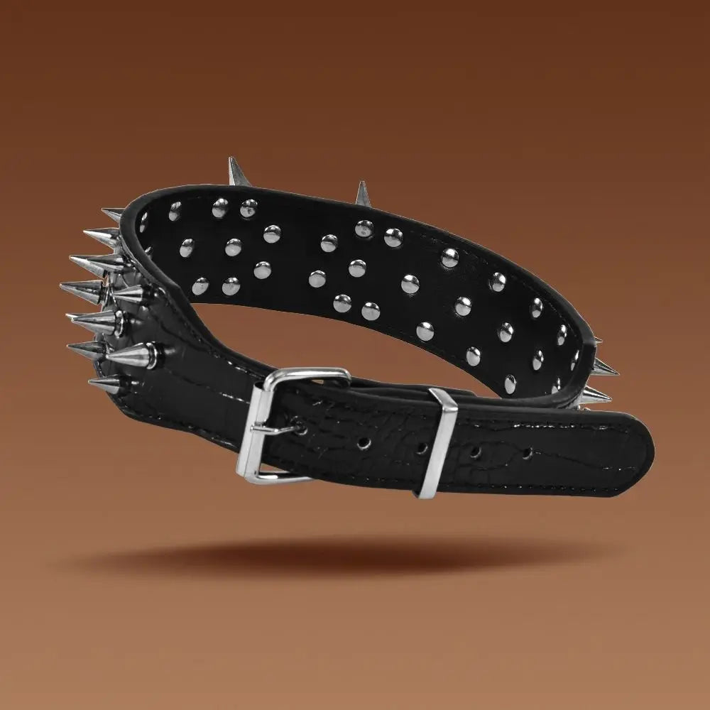 Larger Dog Spike Collar